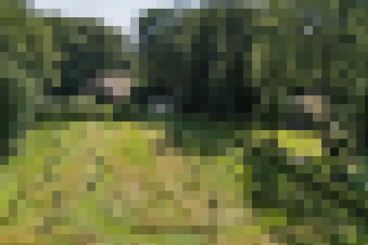 H.W. Iordensweg 91 Wilp thumbnail 65