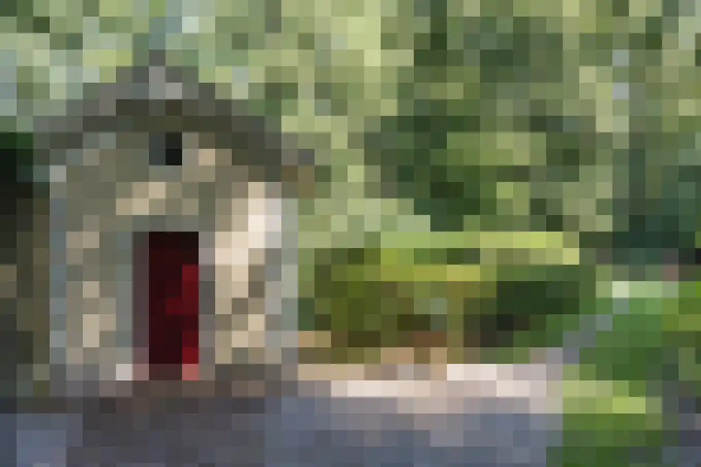H.W. Iordensweg 91 Wilp thumbnail 66