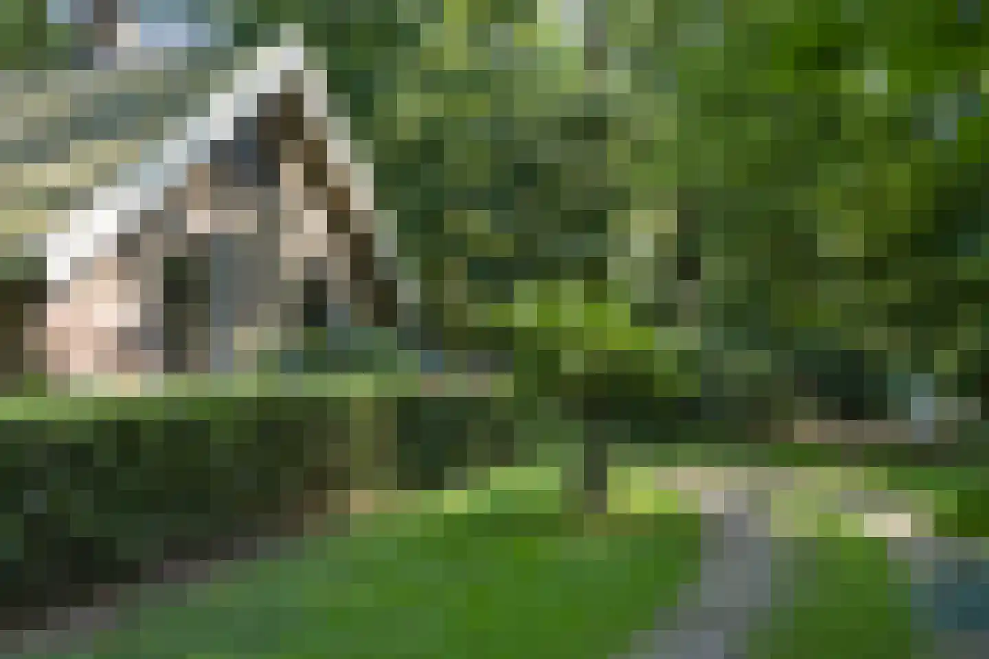 H.W. Iordensweg 91 Wilp thumbnail 67