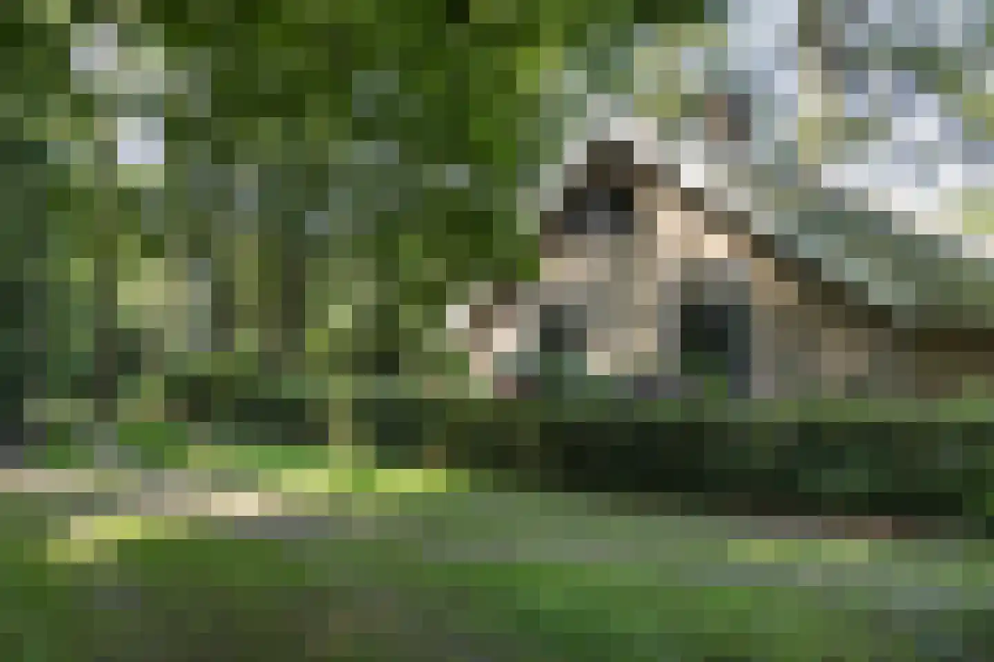 H.W. Iordensweg 91 Wilp thumbnail 68