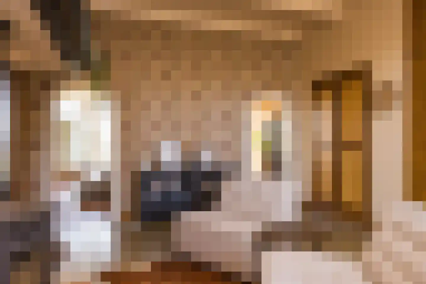 H.W. Iordensweg 91 Wilp thumbnail 78