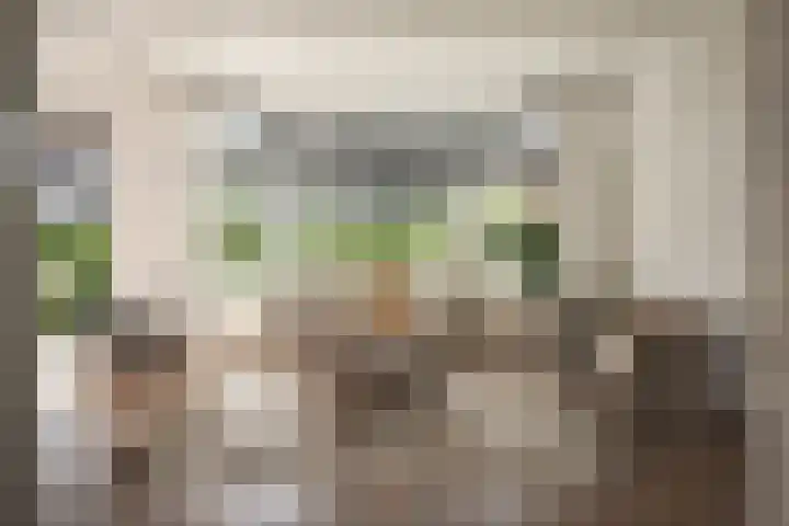 H.W. Mesdaglaan 1 Heemstede thumbnail 10