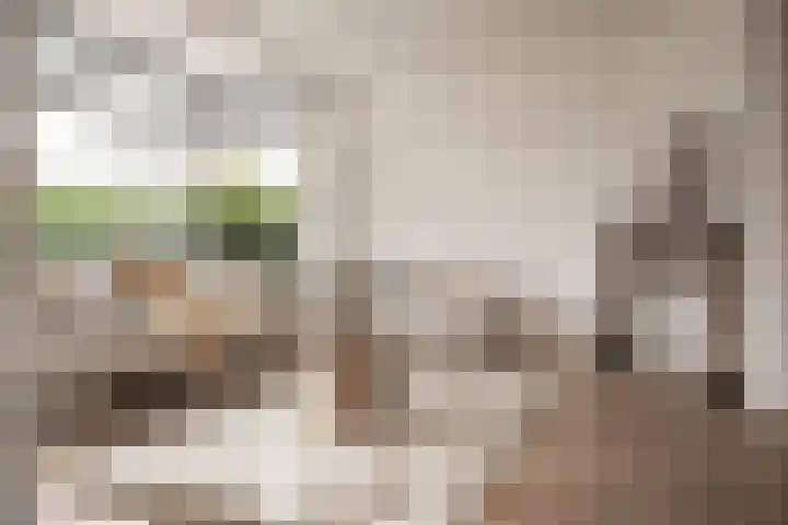 H.W. Mesdaglaan 1 Heemstede thumbnail 11