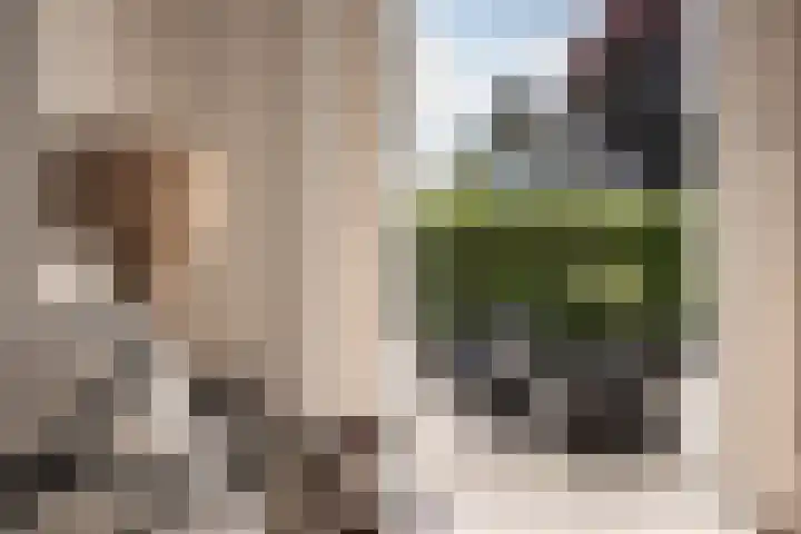 H.W. Mesdaglaan 1 Heemstede thumbnail 14