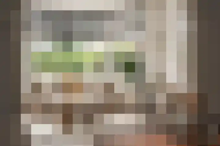 H.W. Mesdaglaan 1 Heemstede thumbnail 20