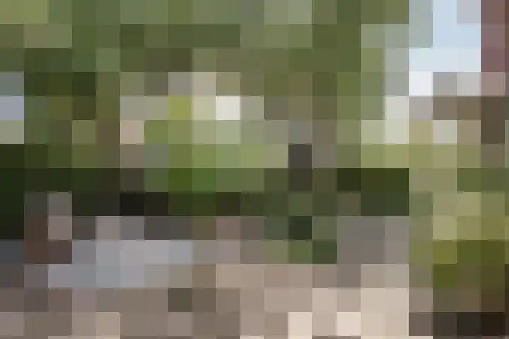 H.W. Mesdaglaan 1 Heemstede thumbnail 34