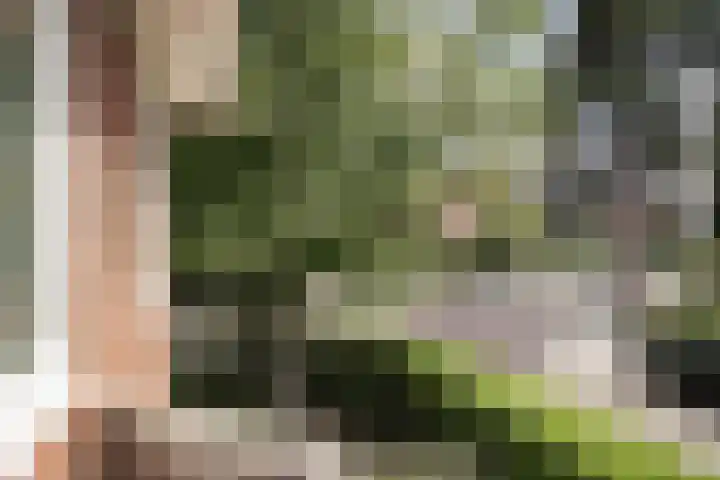 H.W. Mesdaglaan 1 Heemstede thumbnail 38