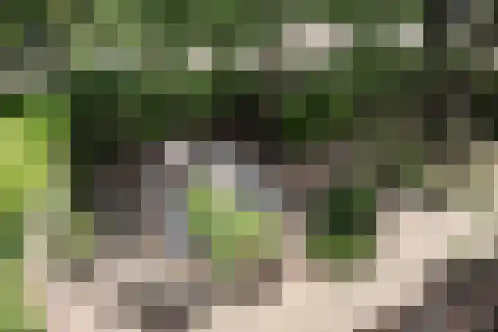 H.W. Mesdaglaan 1 Heemstede thumbnail 46
