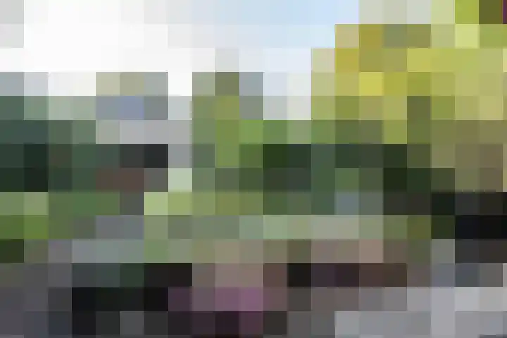 H.W. Mesdaglaan 3 Heemstede thumbnail 17