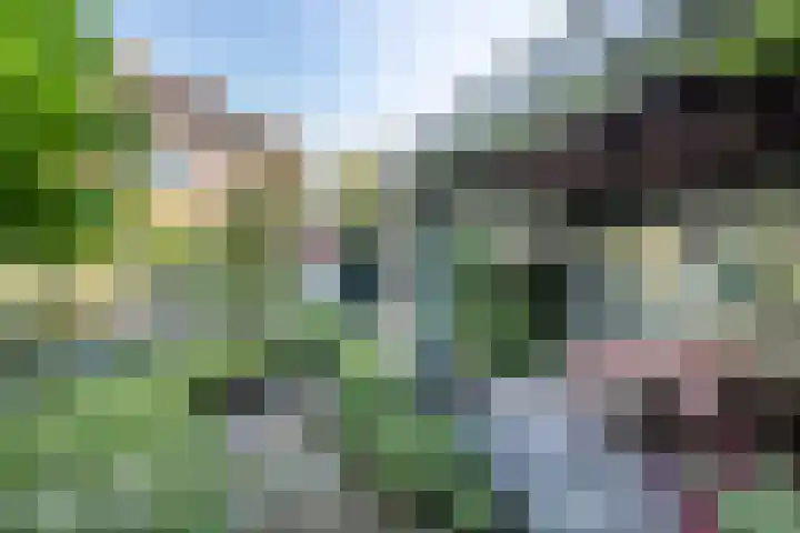 H.W. Mesdaglaan 3 Heemstede thumbnail 18