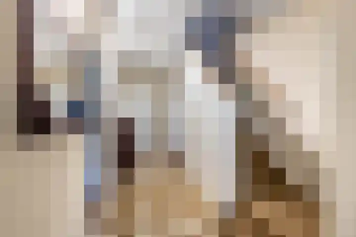 H.W. Mesdaglaan 3 Heemstede thumbnail 26