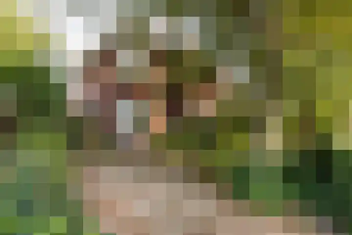 H.W. Mesdaglaan 3 Heemstede thumbnail 42