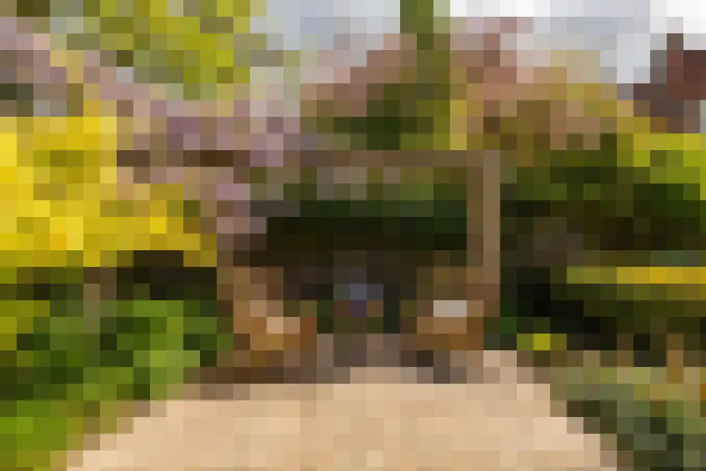 H.W. Mesdagplein 18 Groningen thumbnail 23