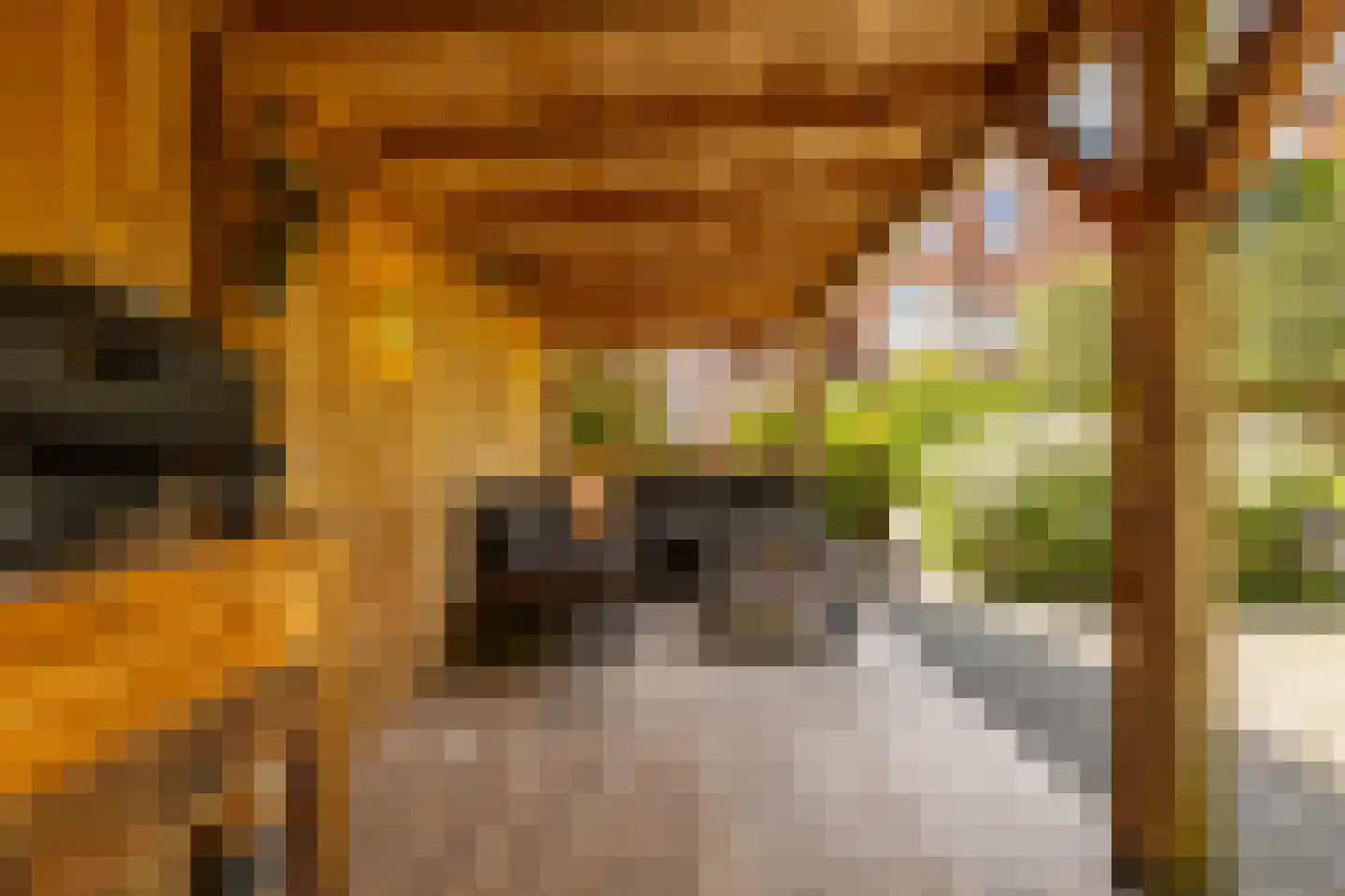H.W. Mesdagplein 18 Groningen thumbnail 25