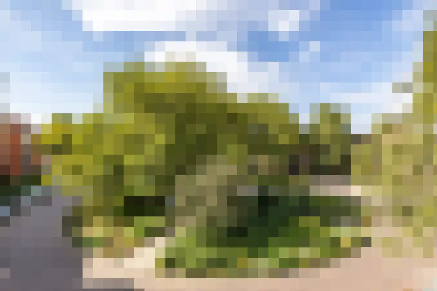 H.W. Mesdagplein 4 Groningen thumbnail 45