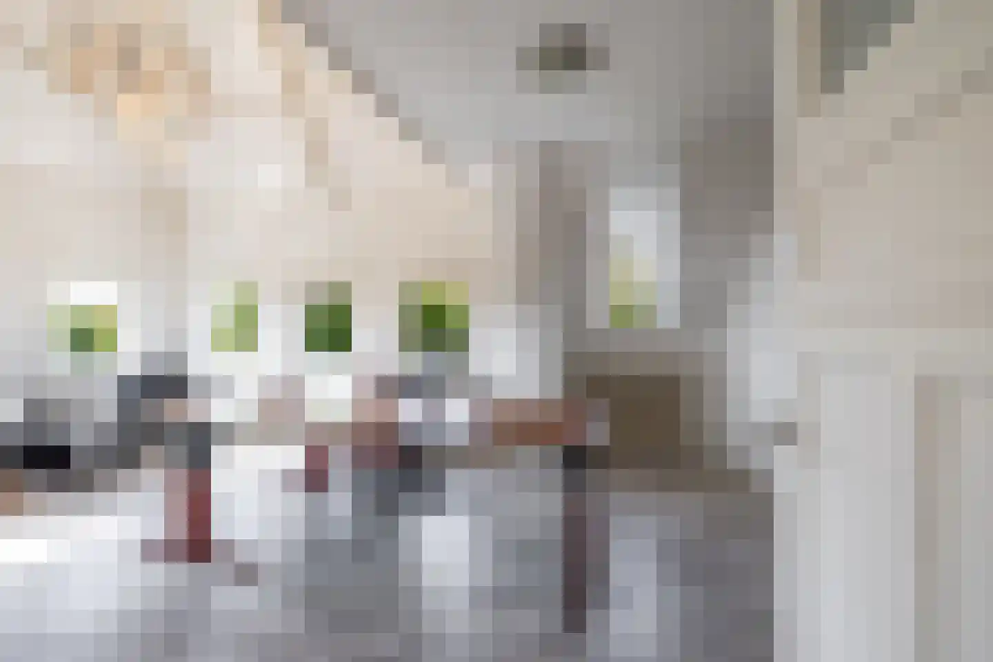 H.W. Mesdagplein 4 Groningen thumbnail 51