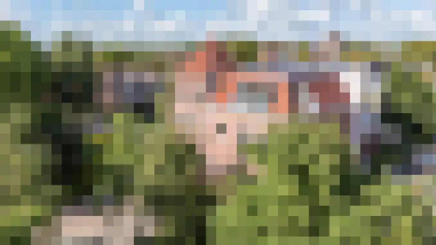 H.W. Mesdagplein 4 Groningen thumbnail 66