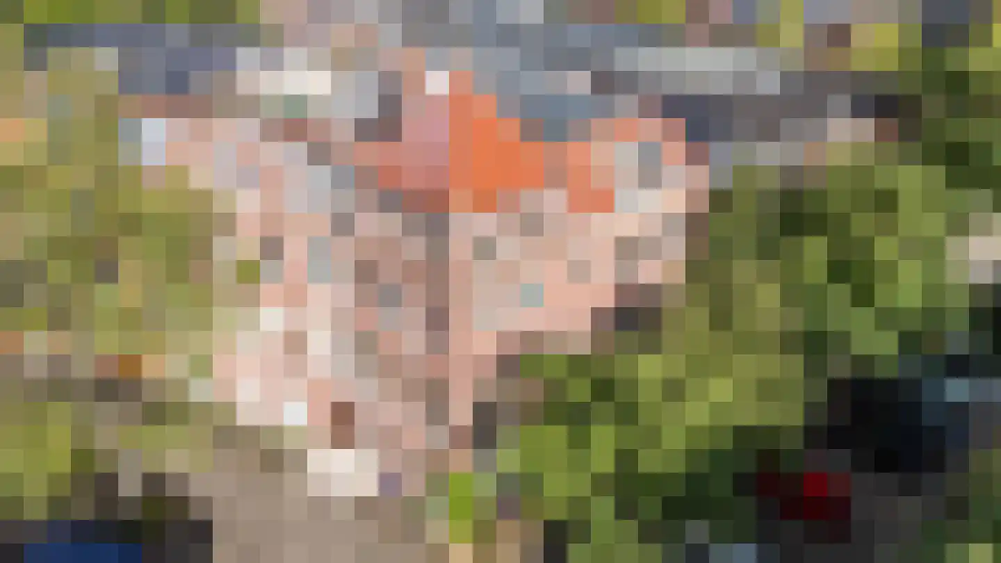 H.W. Mesdagplein 4 Groningen thumbnail 68