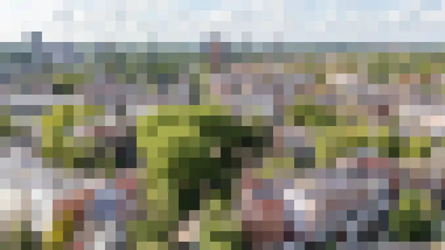H.W. Mesdagplein 4 Groningen thumbnail 81