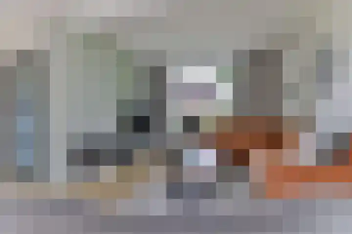 H.W. Mesdagstraat 17 Nietap thumbnail 11