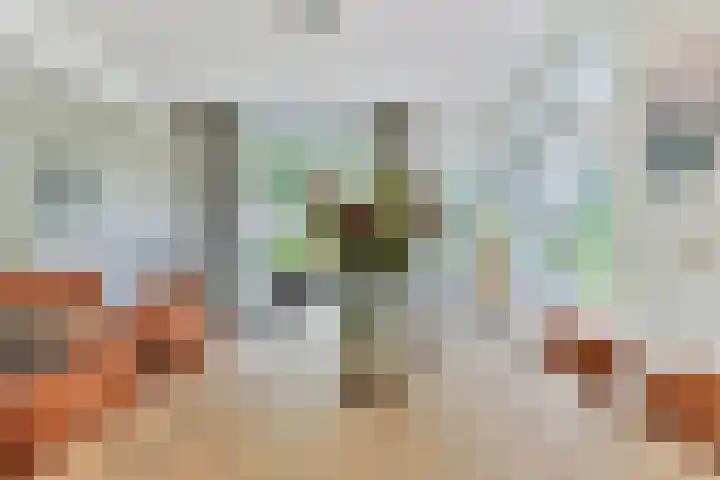 H.W. Mesdagstraat 17 Nietap thumbnail 14