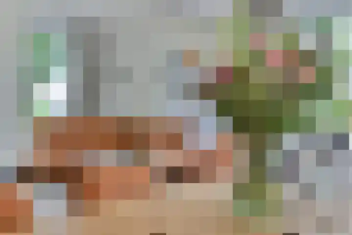 H.W. Mesdagstraat 17 Nietap thumbnail 15
