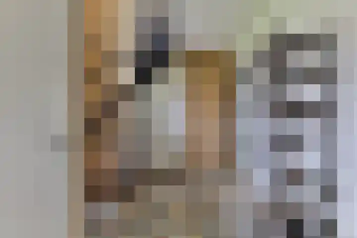 H.W. Mesdagstraat 17 Nietap thumbnail 28