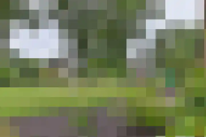 H.W. Mesdagstraat 17 Nietap thumbnail 4