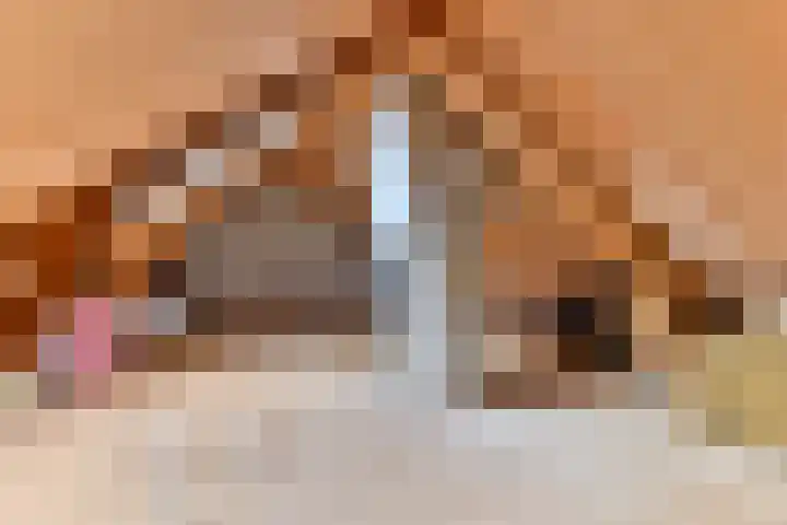 H.W. Mesdagstraat 17 Nietap thumbnail 44