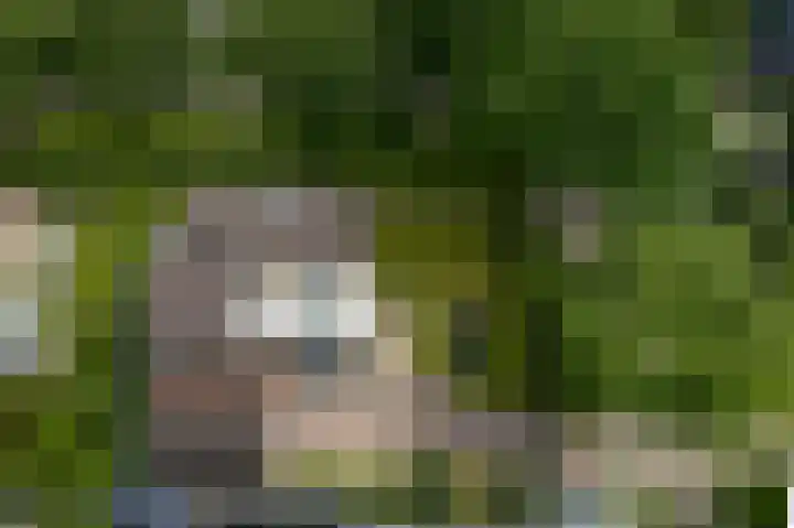 H.W. Mesdagstraat 17 Nietap thumbnail 5