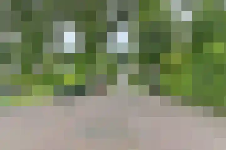 H.W. Mesdagstraat 17 Nietap thumbnail 50