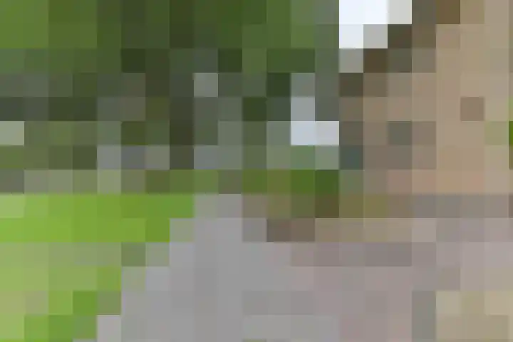 H.W. Mesdagstraat 17 Nietap thumbnail 53