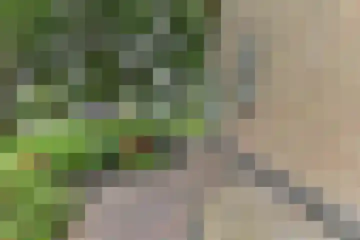 H.W. Mesdagstraat 17 Nietap thumbnail 56