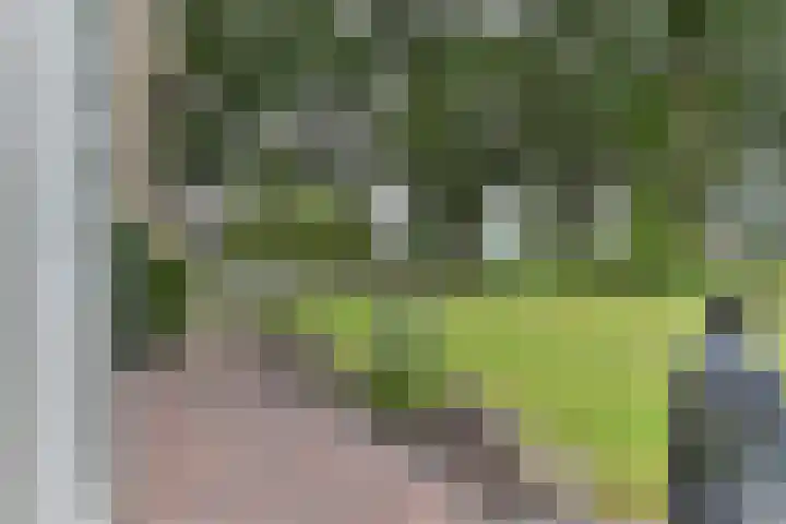 H.W. Mesdagstraat 17 Nietap thumbnail 57