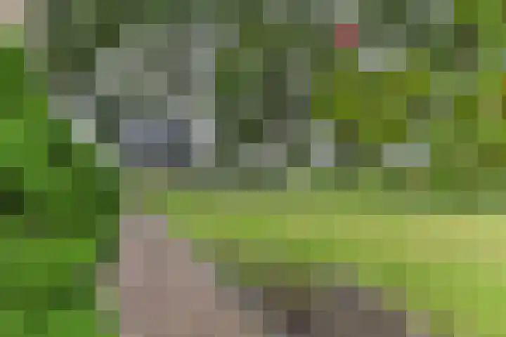 H.W. Mesdagstraat 17 Nietap thumbnail 58