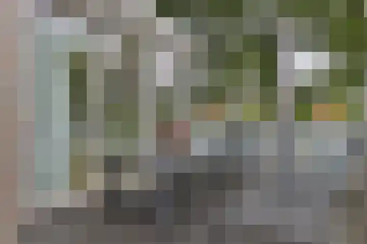 H.W. Mesdagstraat 17 Nietap thumbnail 59
