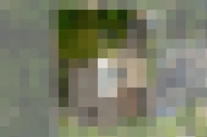 H.W. Mesdagstraat 17 Nietap thumbnail 62