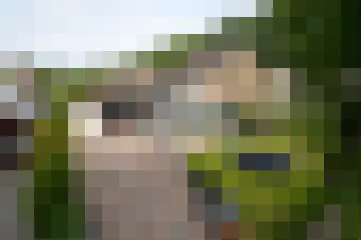 H.W. Mesdagstraat 17 Nietap thumbnail 64