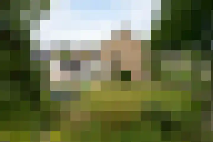 H.W. Mesdagstraat 17 Nietap thumbnail 65