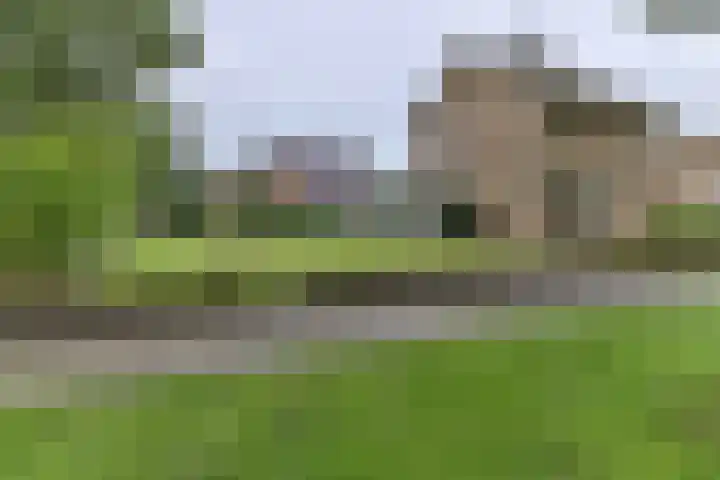 H.W. Mesdagstraat 17 Nietap thumbnail 8
