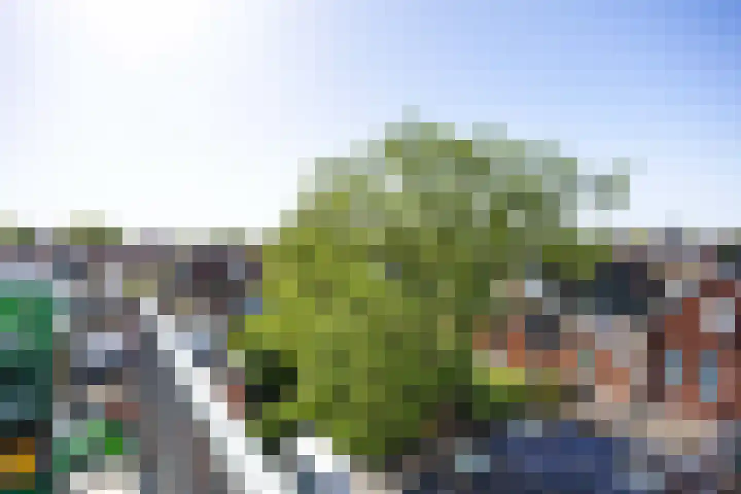 H.W. Mesdagstraat 21 Groningen thumbnail 50