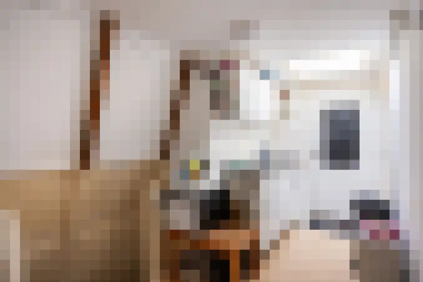 H.W. Mesdagstraat 21 Groningen thumbnail 51