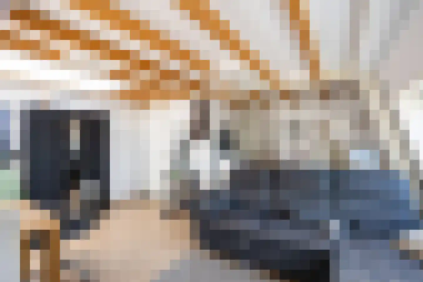 H.W. Mesdagstraat 21 Groningen thumbnail 56
