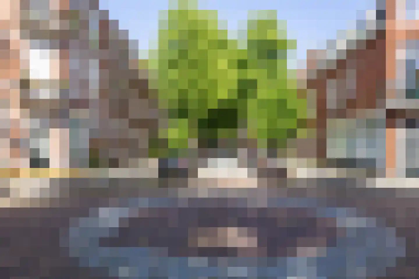 H.W. Mesdagstraat 21 Groningen thumbnail 60