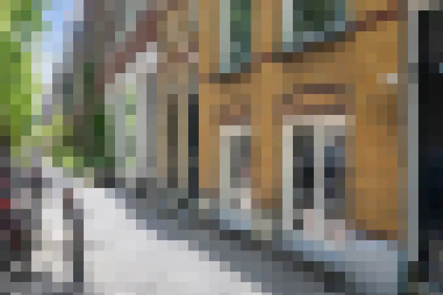 H.W. Mesdagstraat 21 Groningen thumbnail 9