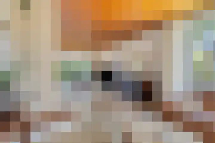 H.W. Mesdagstraat 22 Nietap thumbnail 10