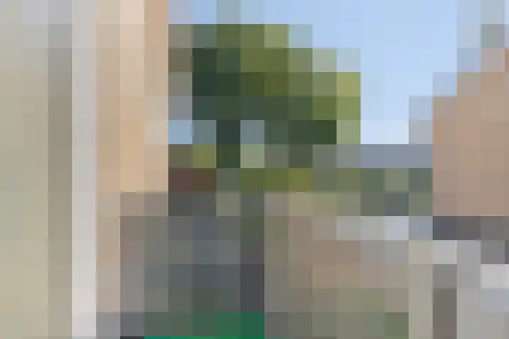 H.W. Mesdagstraat 22 Nietap thumbnail 18
