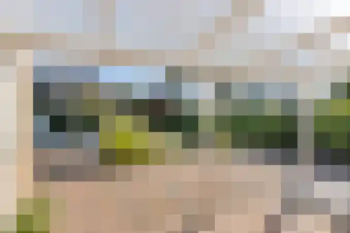 H.W. Mesdagstraat 22 Nietap thumbnail 26