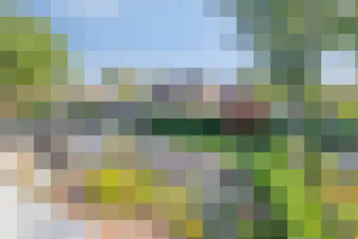 H.W. Mesdagstraat 22 Nietap thumbnail 28