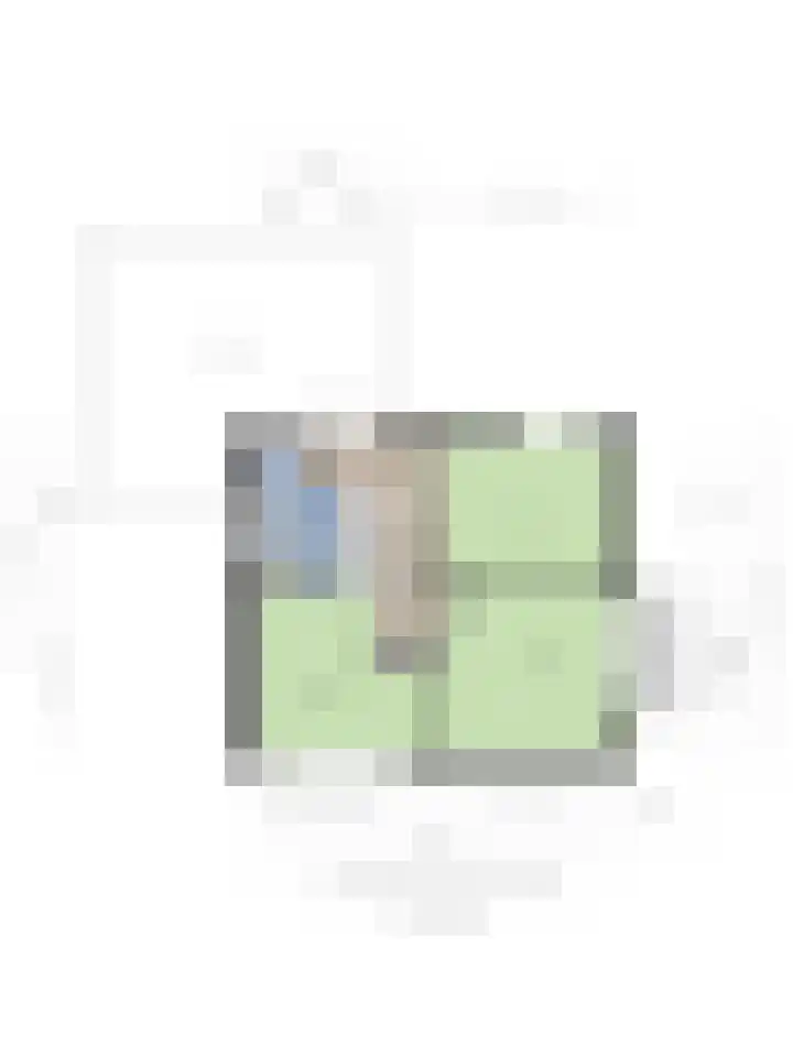 H.W. Mesdagstraat 22 Nietap thumbnail 34
